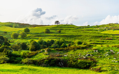 Fields, towns, villages, and rivers of the Pyrenees