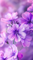 Obraz premium Purple flower with a green stem.