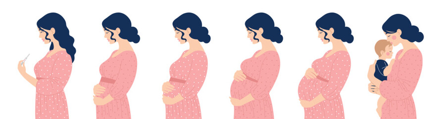 Set of women, path from pregnancy test through different stages to motherhood. Mom with baby. Vector isolated flat illustration of people