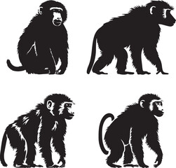 silhouette of  baboon on white background