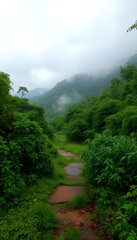 path winds through a lush, green landscape with fog hanging over distant mountains