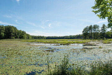 Assabet River National Wildlife Refuge