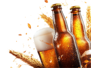 Beer in glass and bottle isolated on transparent background.
