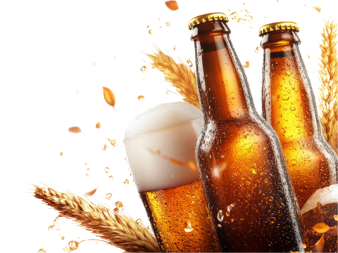 Beer in glass and bottle isolated on transparent background.