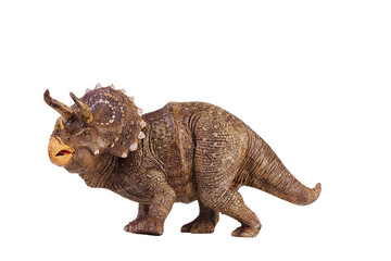 Isolated triceratops dinosaur. Dinosaur toy on white background. Triceratops were a really big dinosaurs eating herbivorous.