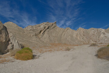 Desert Landscape