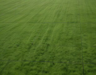 Green field with a grid of lines on a plain background ,  nature, football field