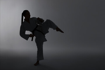 Silhouette of woman in kimono practicing karate on light background, space for text