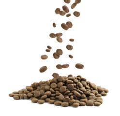 Dry pet food falling onto heap on white background