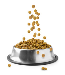 Dry pet food falling into bowl on white background