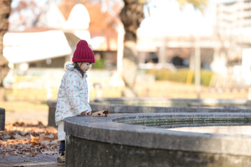 A 3-year-old Japanese girl wearing a red knitted hat and white down jacket plays with fallen leaves on a cold winter afternoon at a park pond in Hakata, Fukuoka Prefecture.