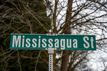 View of the Mississauga Street sign.
