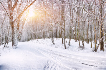 Astonishing view of winter road in the forest.