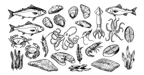 Seafood vector illustrations. Hand drawn line sea fishes, oysters, lobster, squid, octopus, crabs, prawns, fish fillet. Laminaria and wakame seaweeds. Healthy food natural set Transparent background 