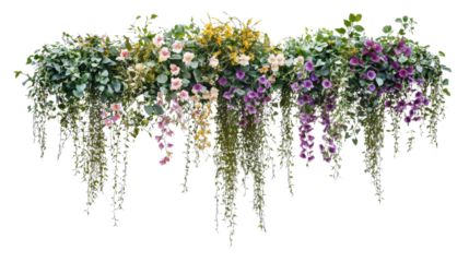 Hanging colorful spring flowers, transparent background