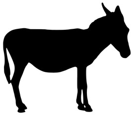 Donkey silhouette isolated on white background, black, animals, wildlife, black, Donkey symbol, donkey icon, pet, animal, nature, illustration