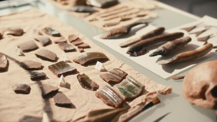Desk with ancient artifacts such as pottery shards, ancient tools, human skull, magnifying glass and measuring instruments for archaeological research in laboratory. Close-up shot