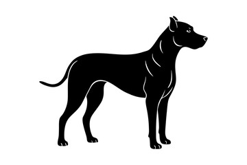 Silhouette of a Catahoula Leopard Dog with a Strong Muscular Build