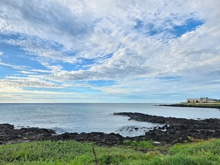 배경 바다 감성