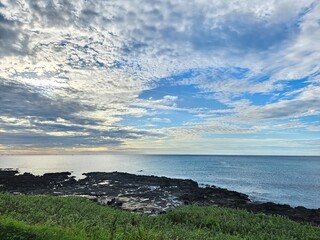 배경 바다 감성