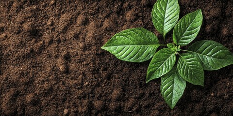 Innovative techniques in integrated pest management for home gardens, rich brown soil contrasting vibrant green foliage.