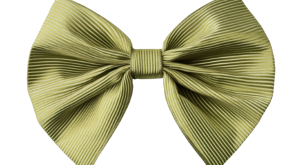 Bow tie transparent background