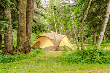 A yellow tent is set up in a forest