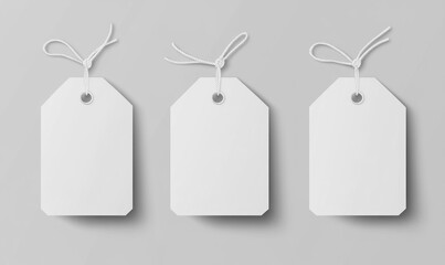 Three blank white gift tags with string. (1)