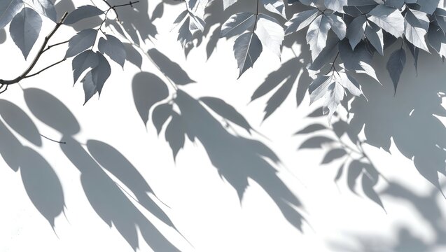 Gray shadow of the leaves on a white wall. Abstract neutral nature concept background. Space for text 