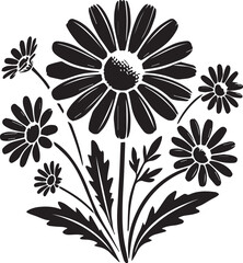 Black and white daisy flower