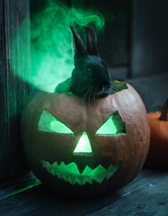 AI generated image of a pet bunny rabbit sitting inside a Halloween jack o’lantern.