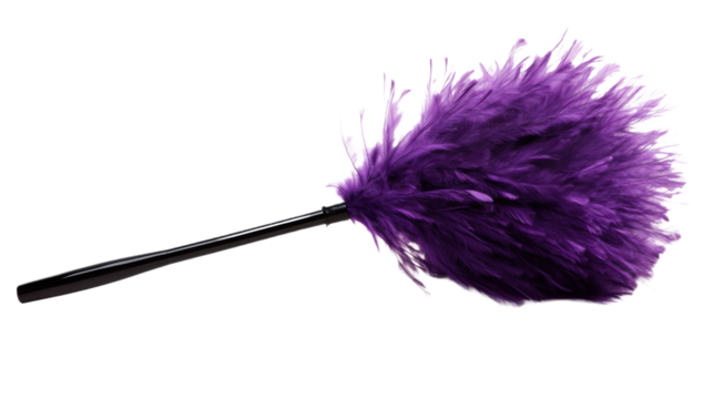 Feather duster transparent background