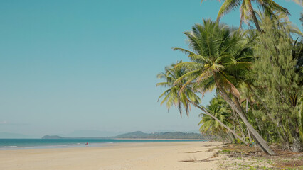 a sunny winter's morning wide shot of mission beach in north queensland, australia