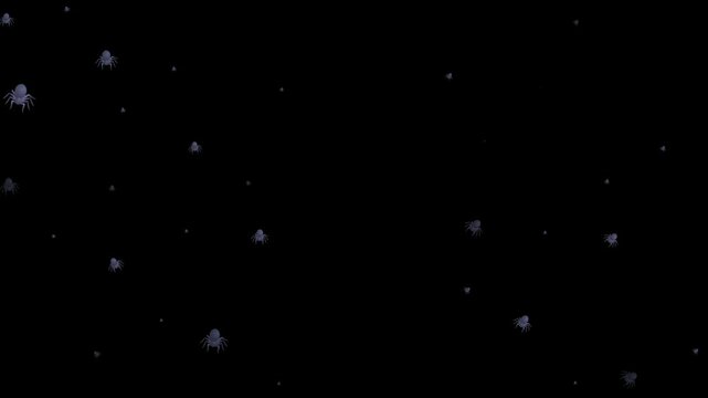 spider, emoji, animated, creepy, crawly, insect, web, creepy crawly, arachnid, animation, spider emoji, motion, spooky, Halloween, eight legs, danger, fear, bug, night, scary, animated icon, black wid