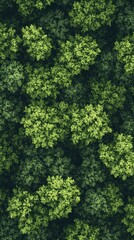 Naklejka premium Aerial View of Lush Green Forest Canopy