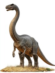 Obraz premium A realistic depiction of a dinosaur with a long neck and large body in a natural setting.