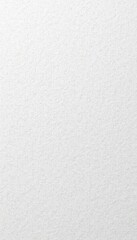 Uniform, subtly grainy white paper texture; soft light reflection, isolated, clean, subtle texture