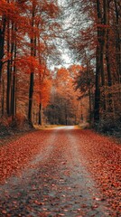 Autumnal Pathway Through A Forest Of Red Trees