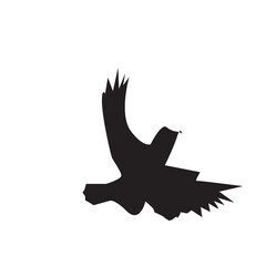 wings graphic bird animal logo element design