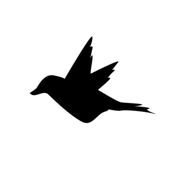 flaying graphic bird animal logo element design