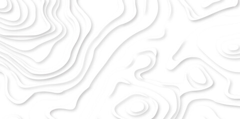 Abstract Multi layer papercut background. 3D topographic pattern. Geometric layered white wavy line white background.