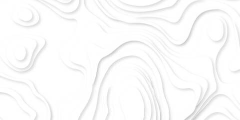 Fototapeta premium Abstract Multi layer papercut background. 3D topographic pattern. Geometric layered white wavy line white background.