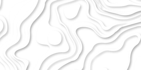 Abstract Multi layer papercut background. 3D topographic pattern. White paper cut out texture. white background with smooth wavy layers. Drop