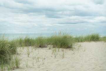 Lake Michigan shore and green grass at Indiana Dunes National Park, Indiana