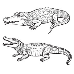 Amphibians are those animals on white background 
Frog, Crocodile, Alligator, Monitor lizard, Salamander, Toad, Newt, Iguana, Snake, Green dragon lizard, Snake