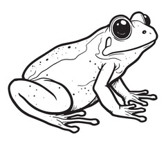 Amphibians are those animals on white background 
Frog, Crocodile, Alligator, Monitor lizard, Salamander, Toad, Newt, Iguana, Snake, Green dragon lizard, Snake