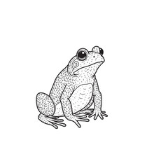 Amphibians are those animals on white background 
Frog, Crocodile, Alligator, Monitor lizard, Salamander, Toad, Newt, Iguana, Snake, Green dragon lizard, Snake