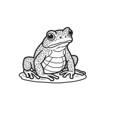 Amphibians are those animals on white background 
Frog, Crocodile, Alligator, Monitor lizard, Salamander, Toad, Newt, Iguana, Snake, Green dragon lizard, Snake