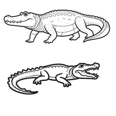 Amphibians are those animals on white background 
Frog, Crocodile, Alligator, Monitor lizard, Salamander, Toad, Newt, Iguana, Snake, Green dragon lizard, Snake