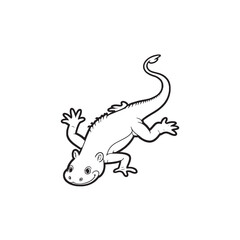 Amphibians are those animals on white background 
Frog, Crocodile, Alligator, Monitor lizard, Salamander, Toad, Newt, Iguana, Snake, Green dragon lizard, Snake